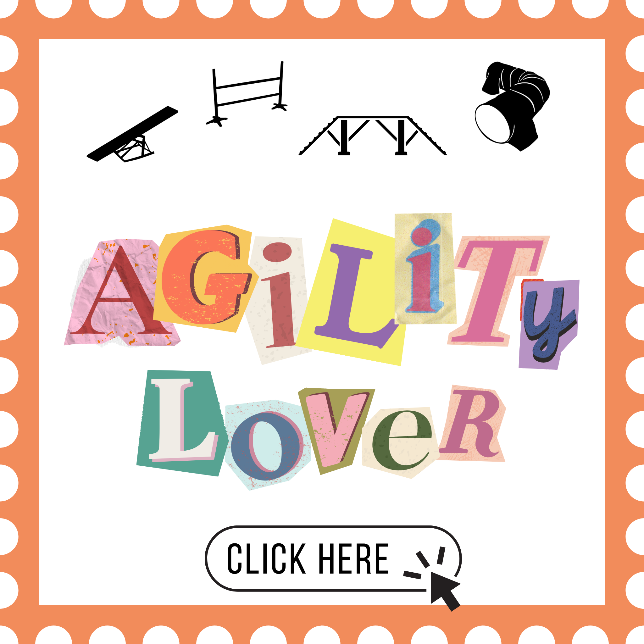 AGILITY LOVER
