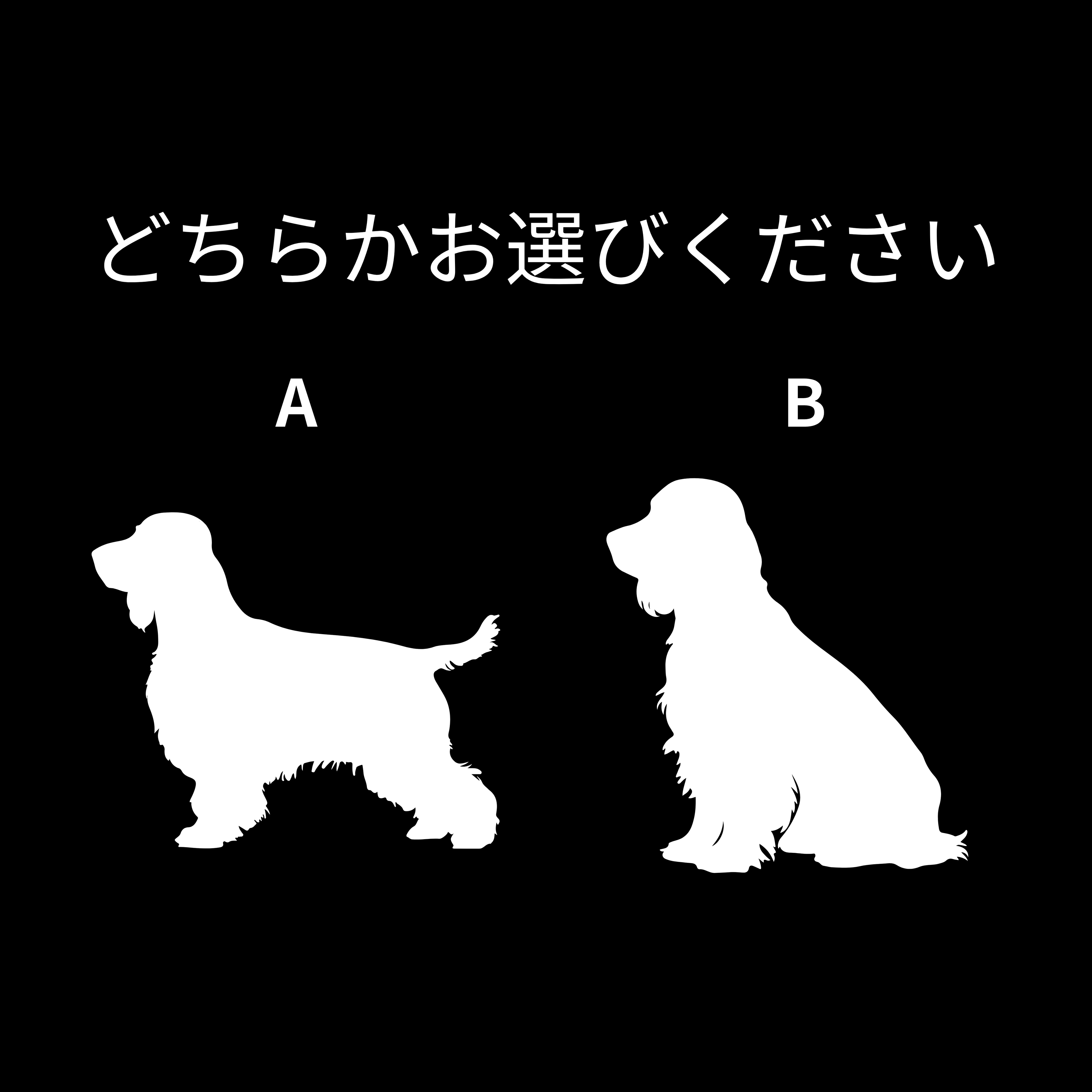 #推しはウチの子 シルエット＆ネーム 刺繍Tシャツ アメリカンコッカースパニエル