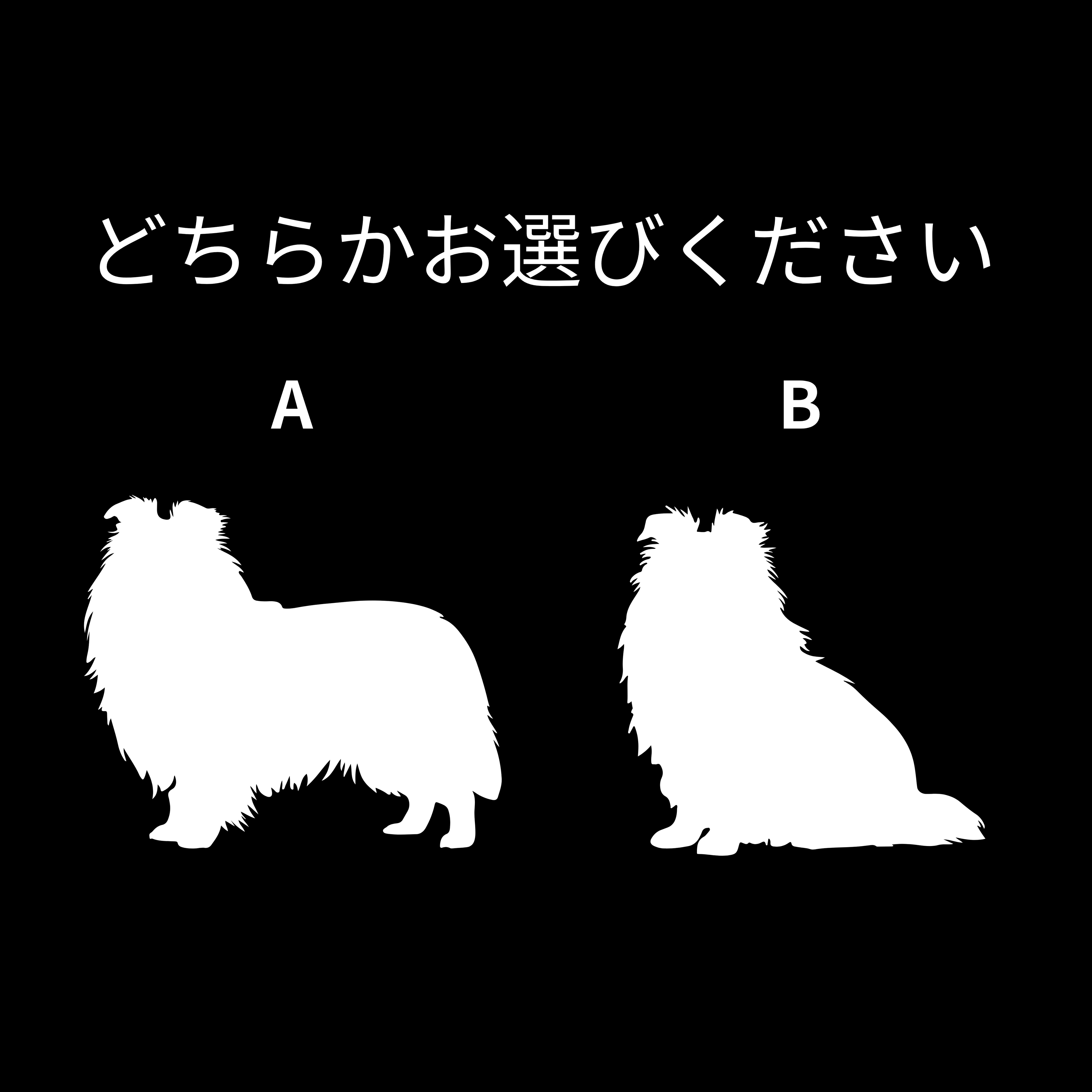 #推しはウチの子 シルエット＆ネーム 刺繍Tシャツ シェットランド・シープドッグ