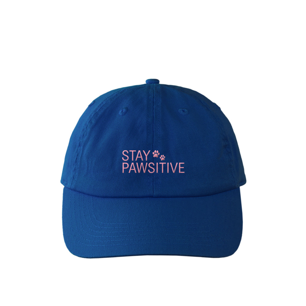 STAY PAWSITIVE カラフルキャップ royal-blue image