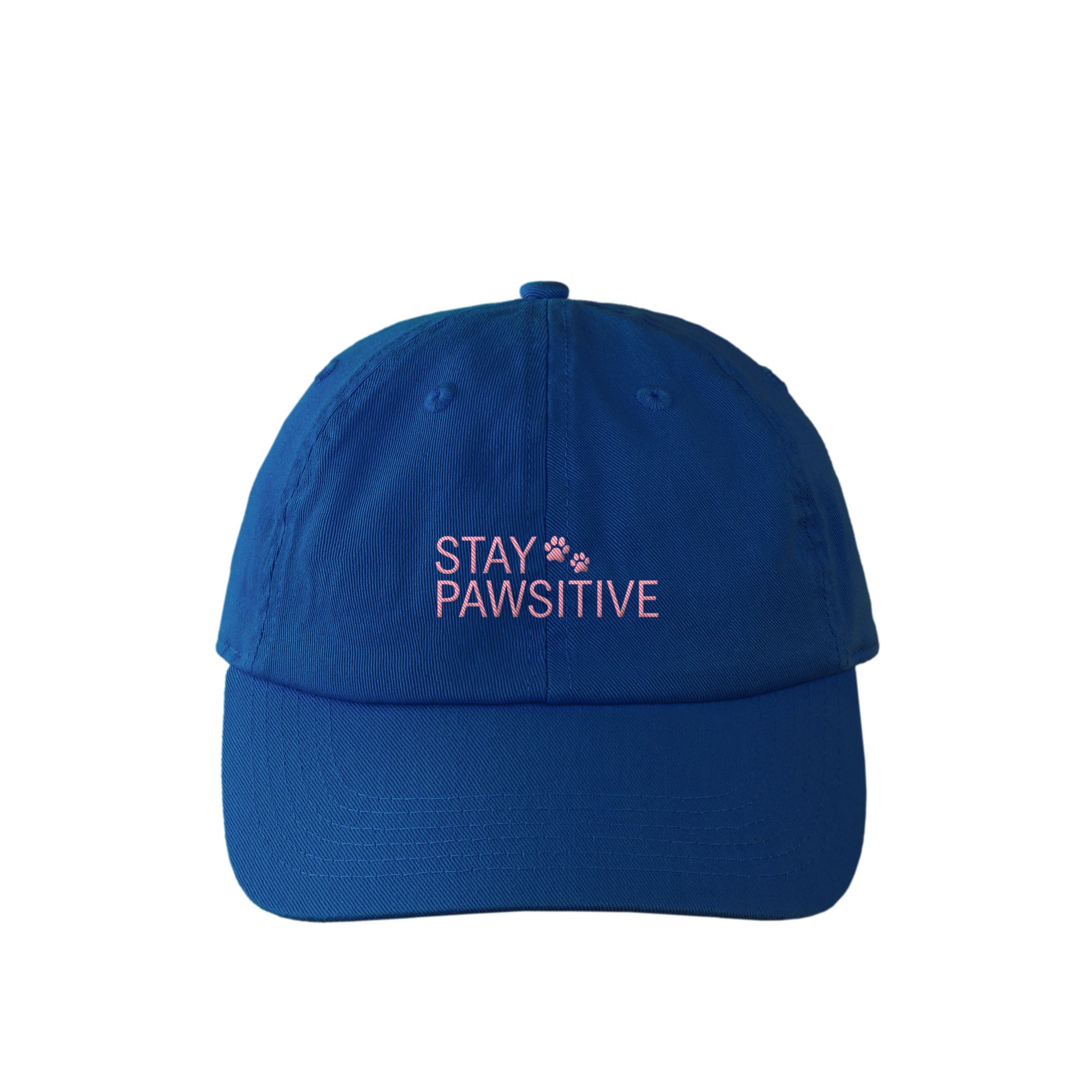 STAY PAWSITIVE カラフルキャップ royal-blue image