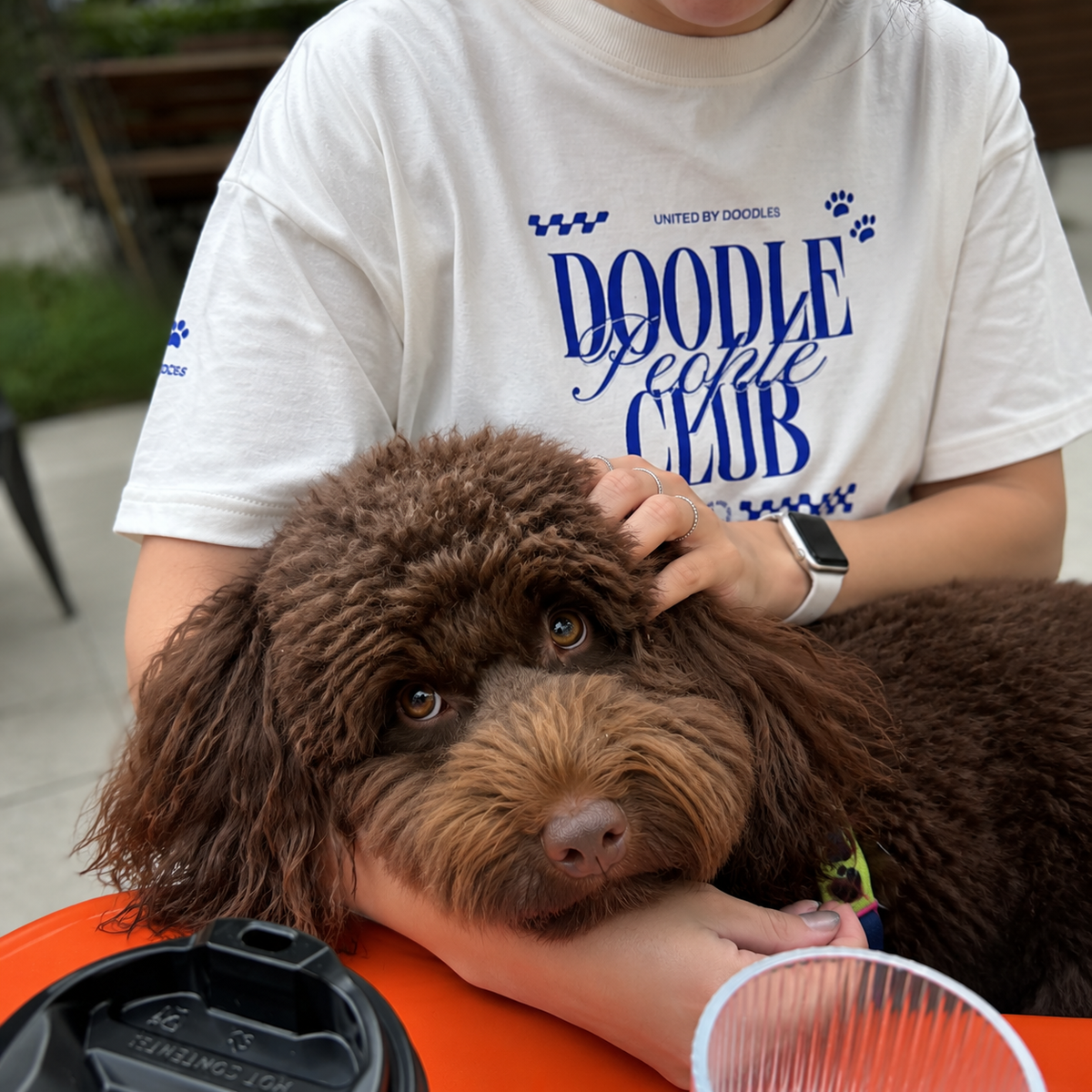 DOODLE PEOPLE CLUB｜UNITED BY DOODLES グラフィックデザインT